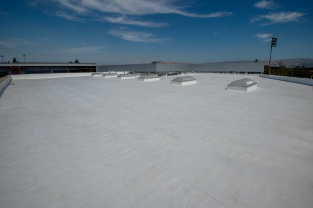 Best Roof Coating and Sealing  in Dimondale, MI