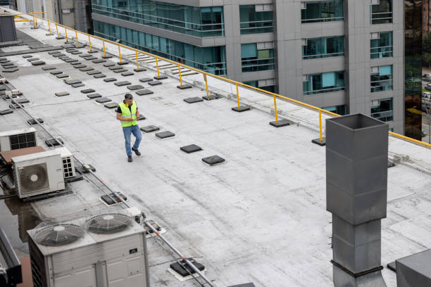 Best Storm Damage Roof Repair  in Dimondale, MI