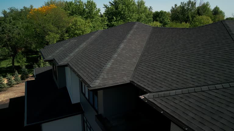 Best 4 Ply Roofing  in Dimondale, MI