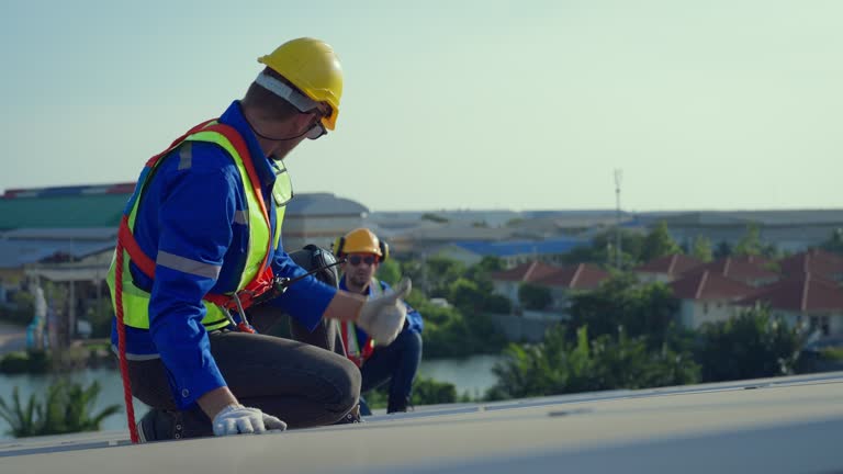 Best Sheet Metal Roofing  in Dimondale, MI