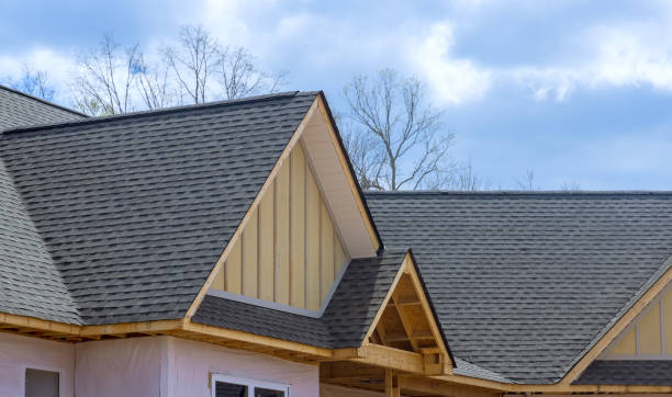 Best Roof Ventilation Installation  in Dimondale, MI