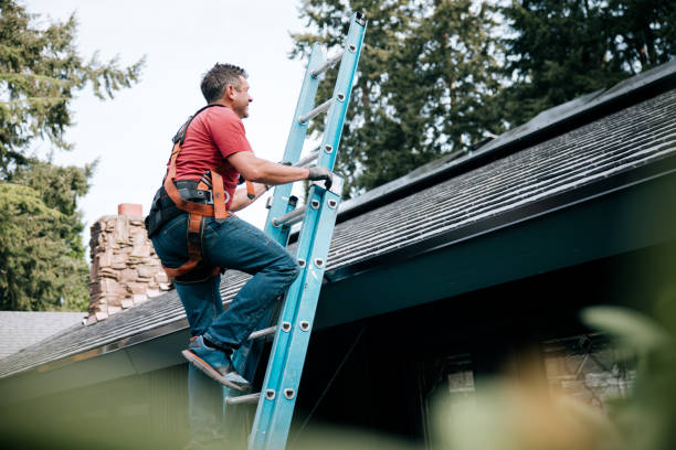Best Asphalt Shingles Roofing  in Dimondale, MI