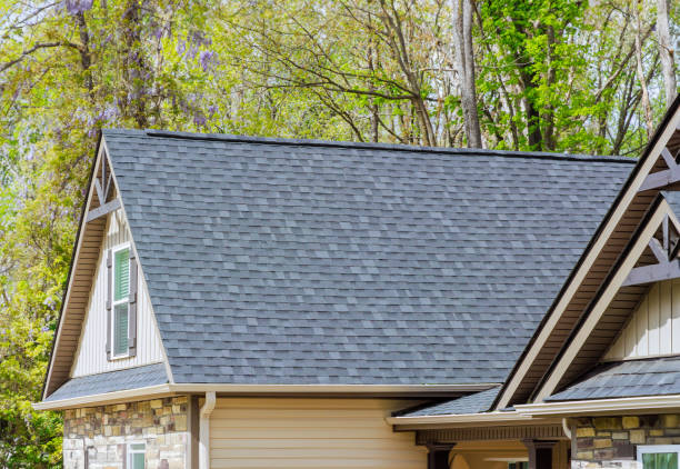 Best Slate Roofing  in Dimondale, MI