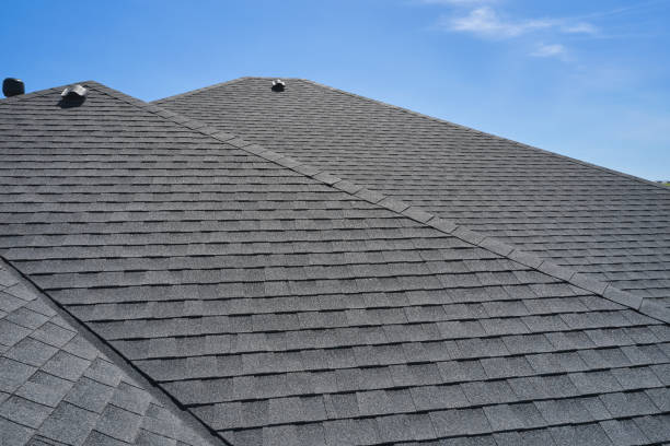 Best Asphalt Shingle Roofing  in Dimondale, MI
