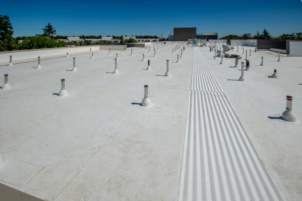 Best Solar Panel Roofing Installation  in Dimondale, MI